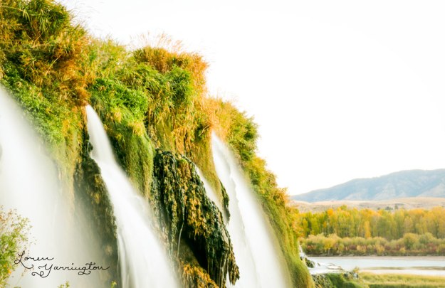 blog post by Loren Yarrington, Fall Creek Falls Idaho