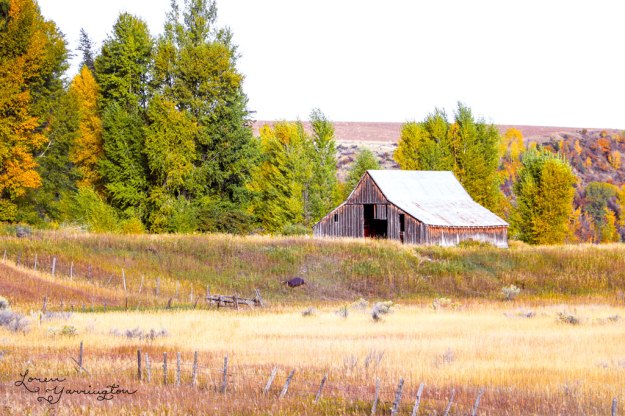 Swan Valley Idaho Barn, blog post by Loren Yarrington