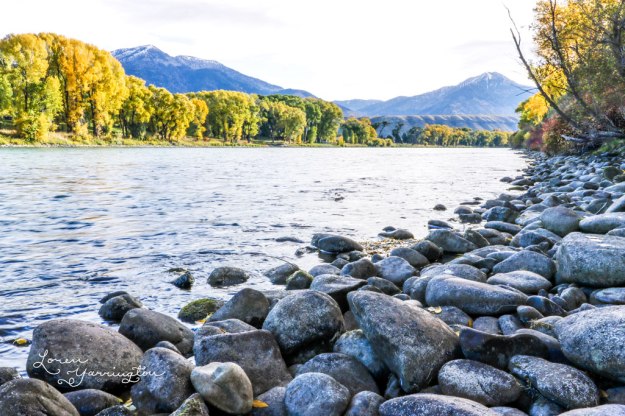 Swan Valley Idaho River, blog post by Loren Yarrington