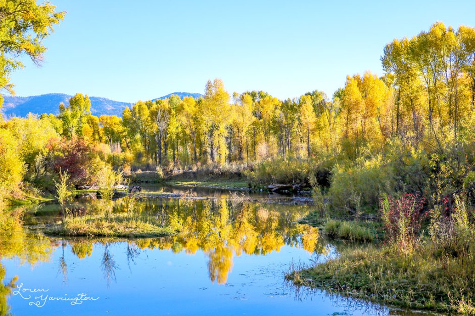 blog post by Loren Yarrington, Swan Valley Idaho Water Reflection